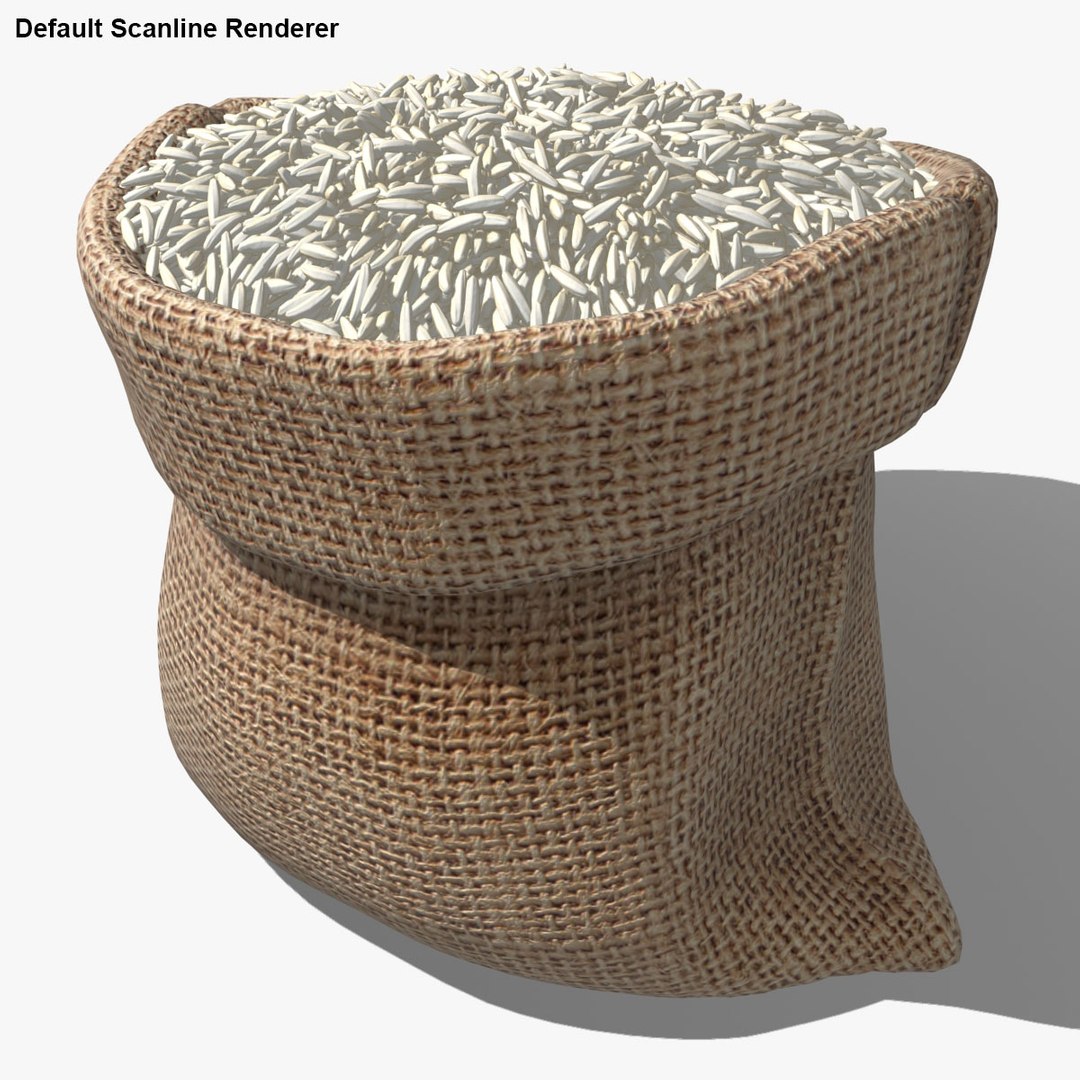 Realistic Sack Rice 3D Model - TurboSquid 1202852