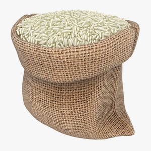 realistic sack rice 3D model