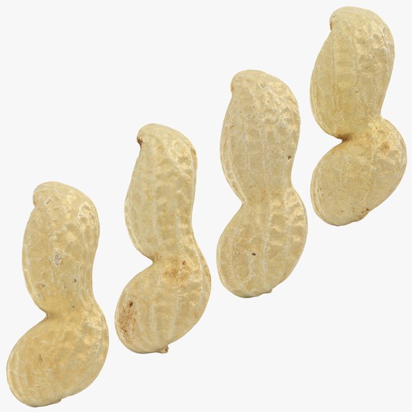 3D model Peanut Shell Collection