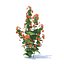 wild plants 3D model