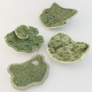 obj coral acropora