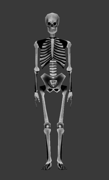 Фото скелета мультяшного