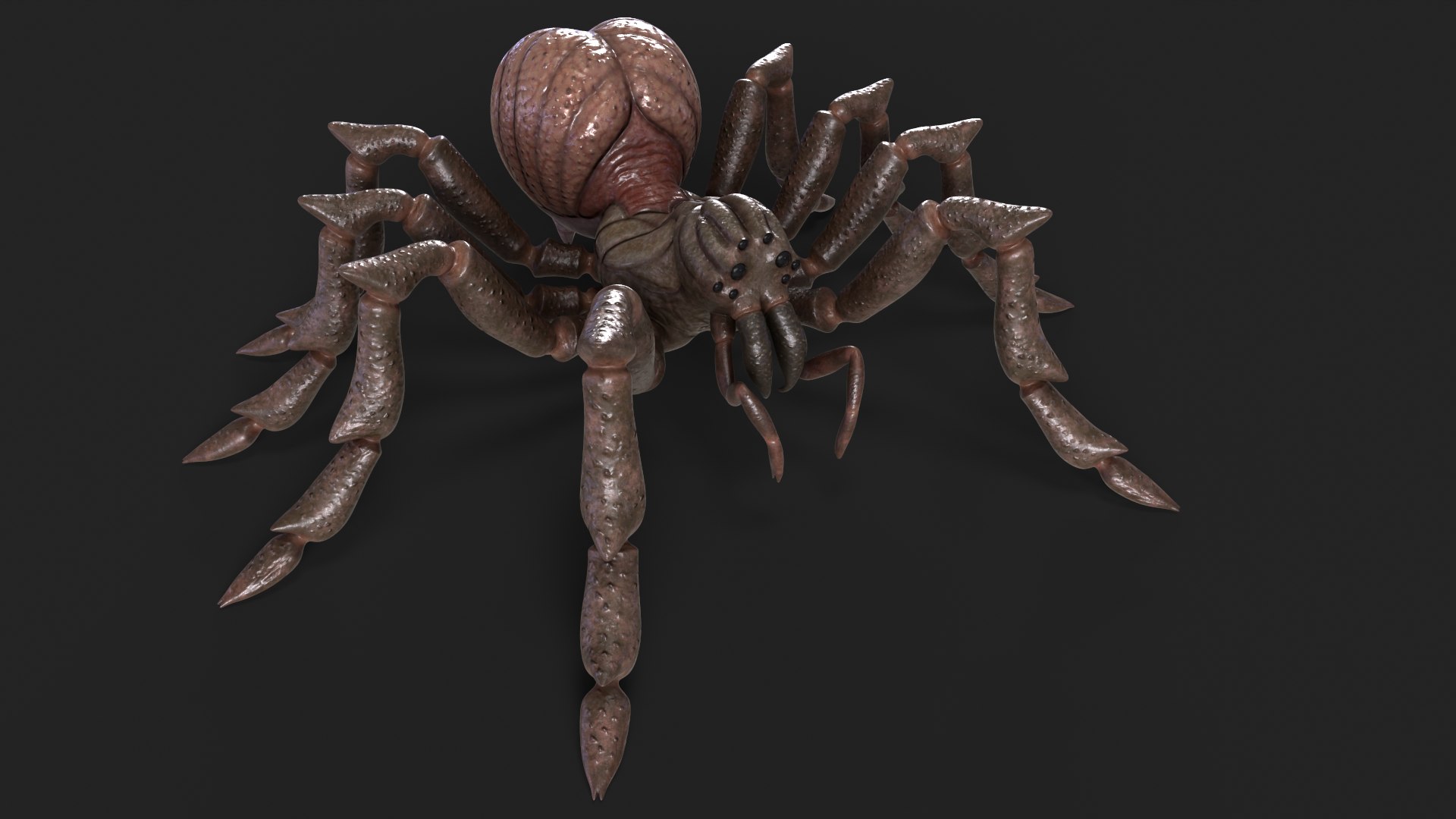 3D Spider Rigged And Animated model https://p.turbosquid.com/ts-thumb/f2/dyjpmF/56/7/png/1717516227/1920x1080/fit_q87/ad66e708c125902df55dd5bebad2ce8710678ad1/7.jpg