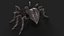 Araignée truquée et animée