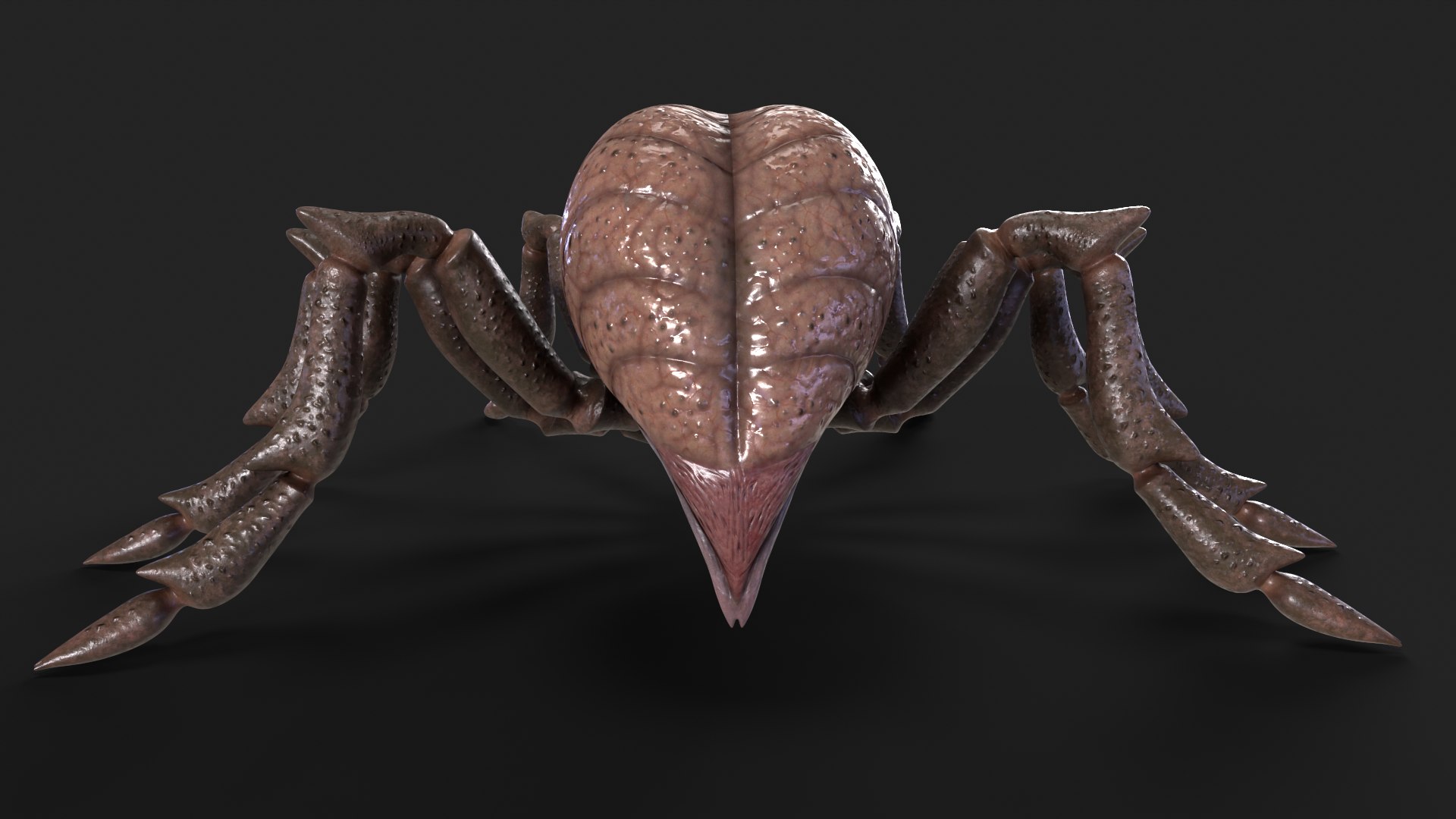 3D Spider Rigged And Animated model https://p.turbosquid.com/ts-thumb/f2/dyjpmF/Ay/5/png/1717516225/1920x1080/fit_q87/f0378c6acb7dc0612206eddf74f262e9125718ab/5.jpg