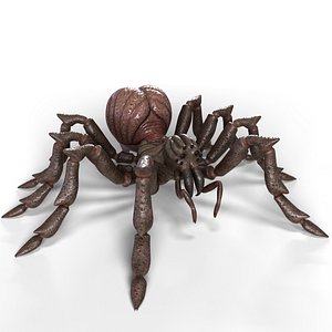 3D Spider Rigged And Animated model