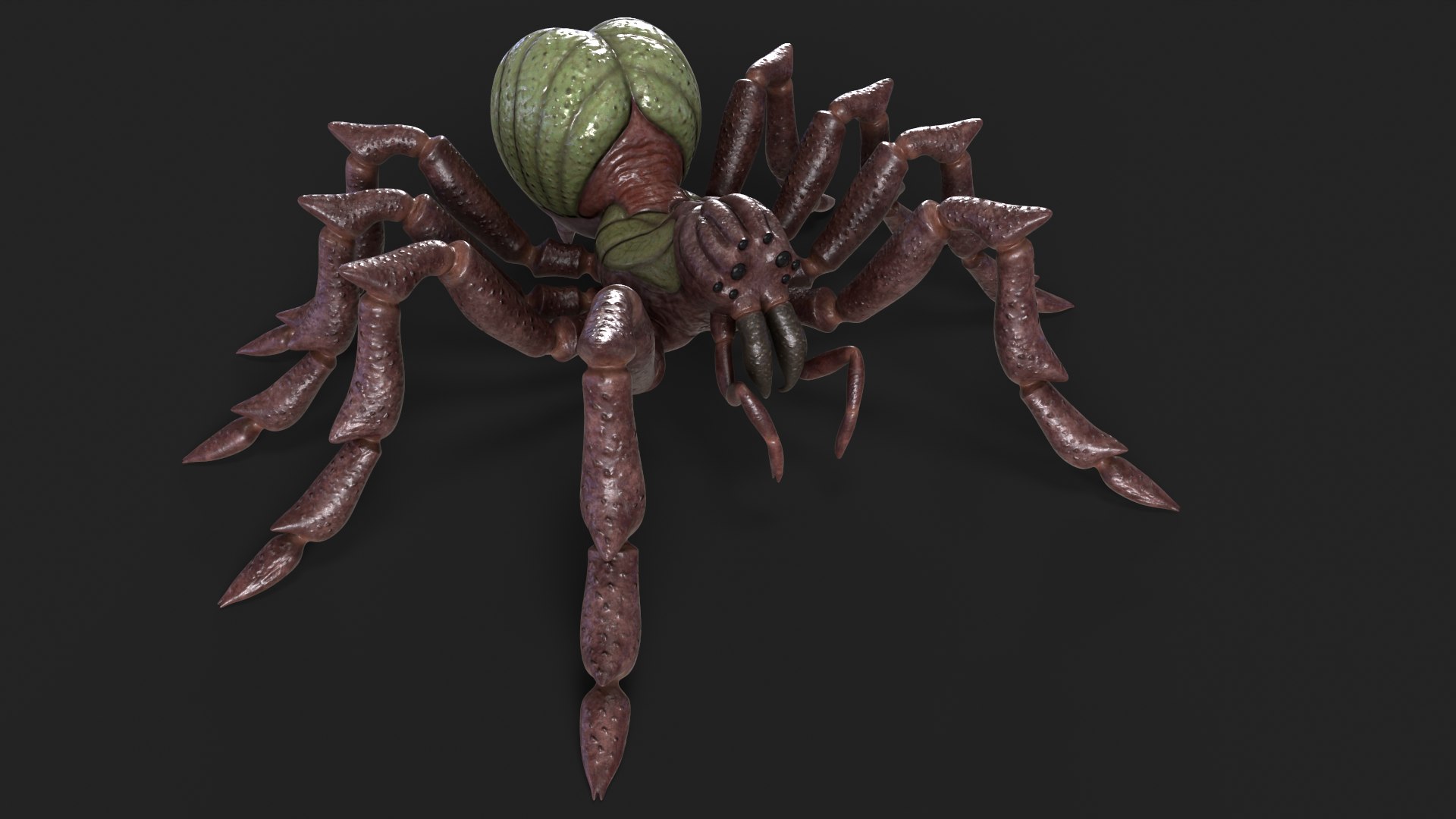 3D Spider Rigged And Animated model https://p.turbosquid.com/ts-thumb/f2/dyjpmF/Gz/12/png/1717516231/1920x1080/fit_q87/5e13070b52eba5c5f9b162998da807f0763f87ea/12.jpg
