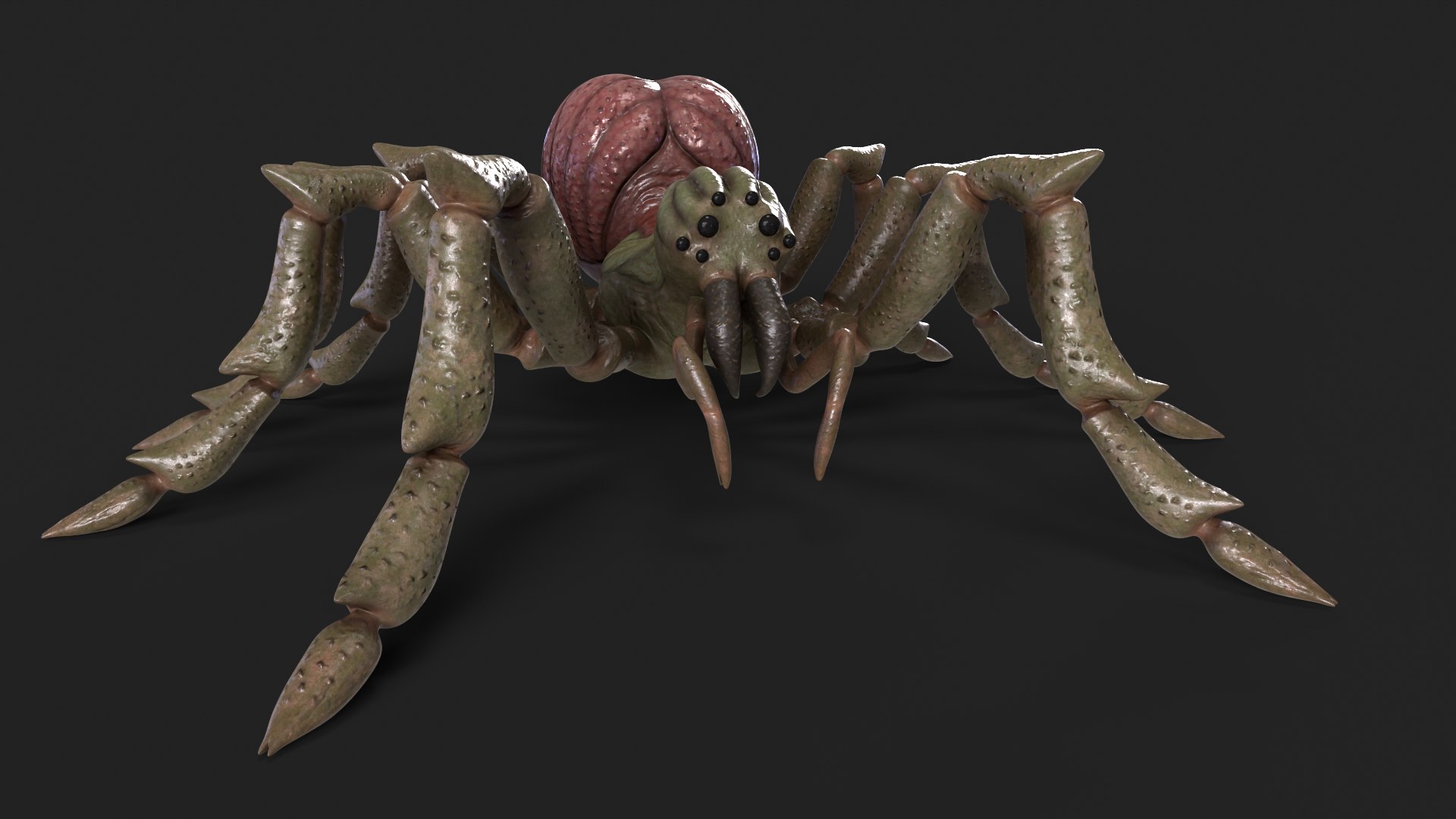 3D Spider Rigged And Animated model https://p.turbosquid.com/ts-thumb/f2/dyjpmF/NE/9/png/1717516228/1920x1080/fit_q87/3e1c08fdf71de2e5654ce39050ee733b2d136821/9.jpg