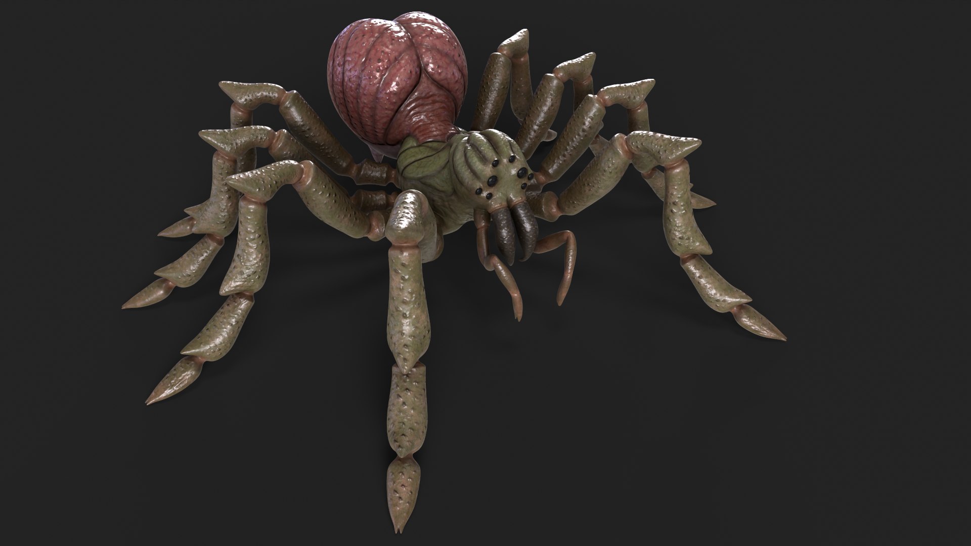 3D Spider Rigged And Animated model https://p.turbosquid.com/ts-thumb/f2/dyjpmF/fe/11/png/1717516229/1920x1080/fit_q87/e8919cd58d04e92a04e36633dc2fea0ef95c7822/11.jpg