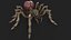 Araignée truquée et animée
