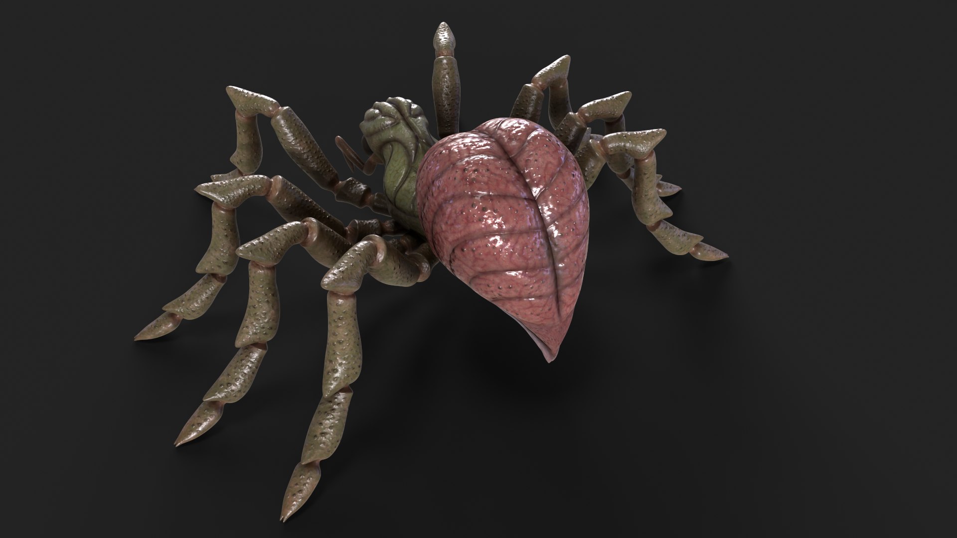 3D Spider Rigged And Animated model https://p.turbosquid.com/ts-thumb/f2/dyjpmF/jj/10/png/1717516229/1920x1080/fit_q87/abd681c7d1d68c6ab1009fa315ab392aa7308aaf/10.jpg