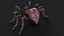 Araignée truquée et animée