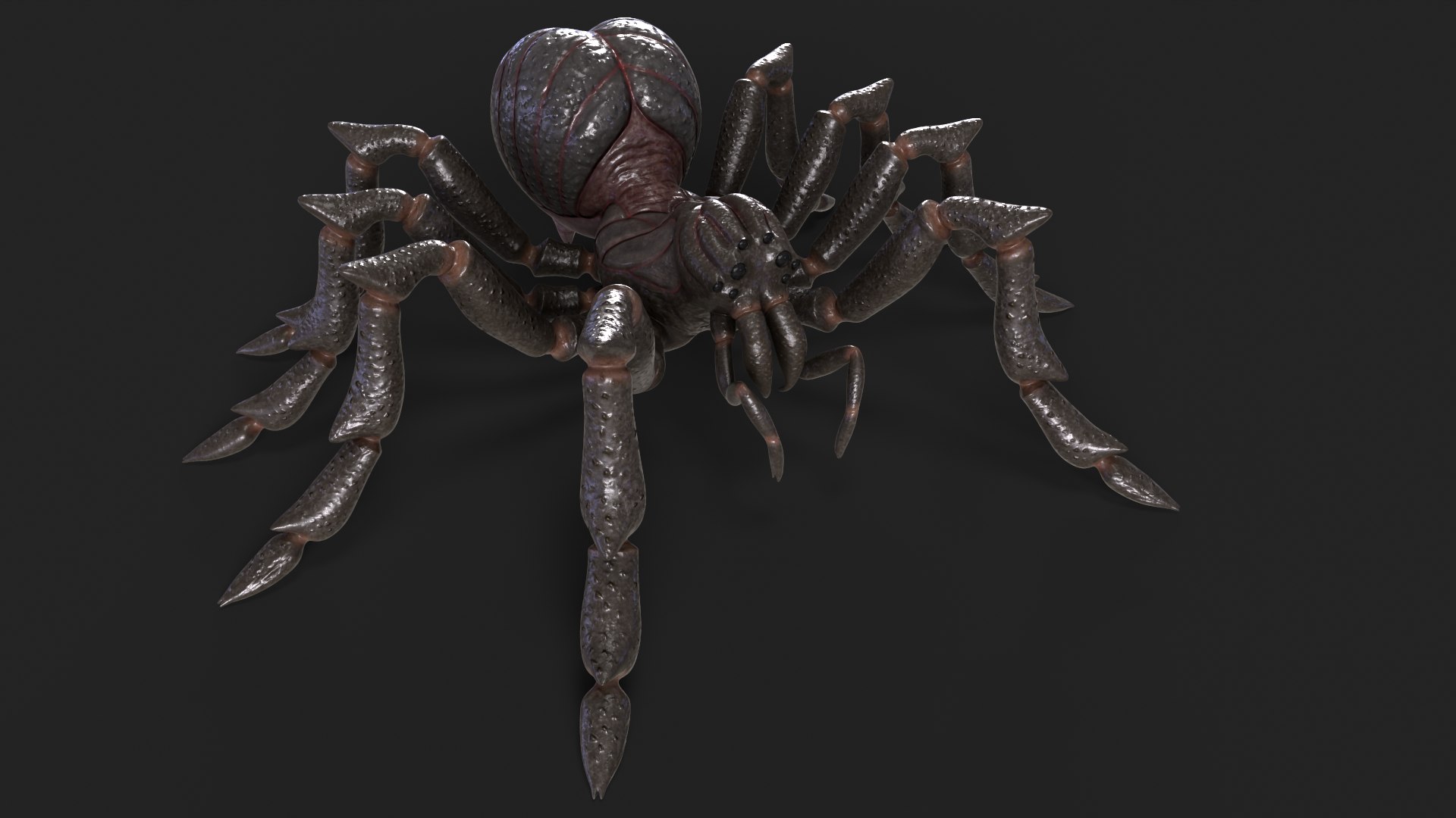 3D Spider Rigged And Animated model https://p.turbosquid.com/ts-thumb/f2/dyjpmF/pL/20/png/1717516236/1920x1080/fit_q87/330aebc35a0d47085fec01a4d65b5d24a3c2180b/20.jpg