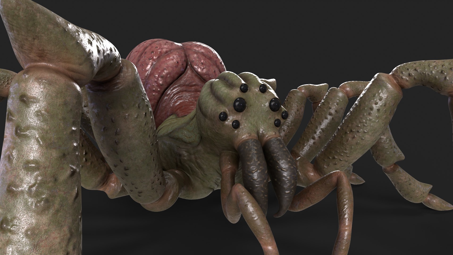 3D Spider Rigged And Animated model https://p.turbosquid.com/ts-thumb/f2/dyjpmF/z7/8/png/1717516234/1920x1080/fit_q87/c8dd24555ad23c048643d663a6ed813b72c70b1c/8.jpg