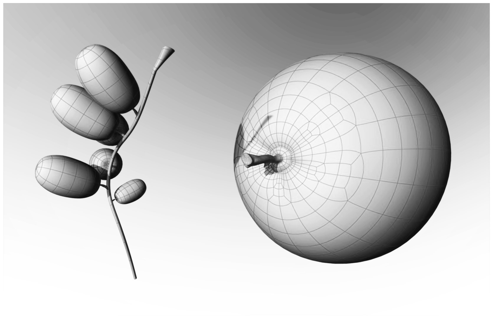 fruit basket 3D model https://p.turbosquid.com/ts-thumb/f2/jrCy11/xOrXkOQp/wireframe/jpg/1492515242/1920x1080/fit_q87/9bb1b420dc40b2570f270de360ad3eb1a62d1069/wireframe.jpg