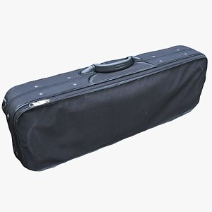 violin case model