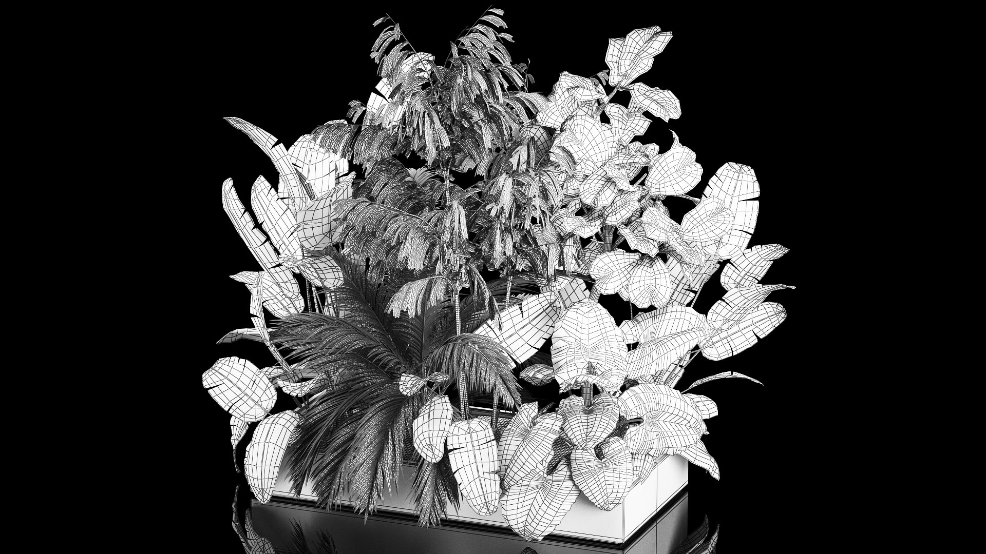 3D Flowerbed Of Plants With Tropical Thickets https://p.turbosquid.com/ts-thumb/f2/mrb8LS/2n/1tropicalthickets2805202214/jpg/1653820159/1920x1080/fit_q87/e43780543d86c32d03bfeed3f65b6613cf6738df/1tropicalthickets2805202214.jpg