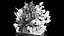 Flowerbed Of Plants With Tropical Thickets
