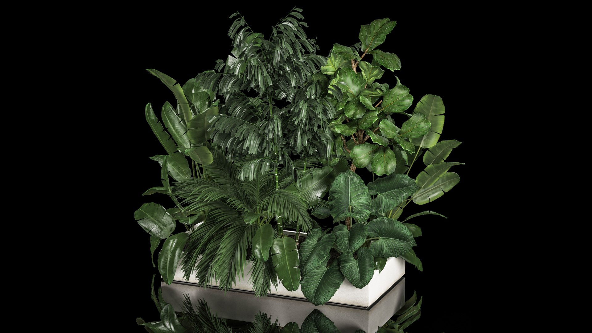 3D Flowerbed Of Plants With Tropical Thickets https://p.turbosquid.com/ts-thumb/f2/mrb8LS/3I/1tropicalthickets2805202210/jpg/1653820158/1920x1080/fit_q87/8890563dc1b39b02f31909511859716a67e392bf/1tropicalthickets2805202210.jpg