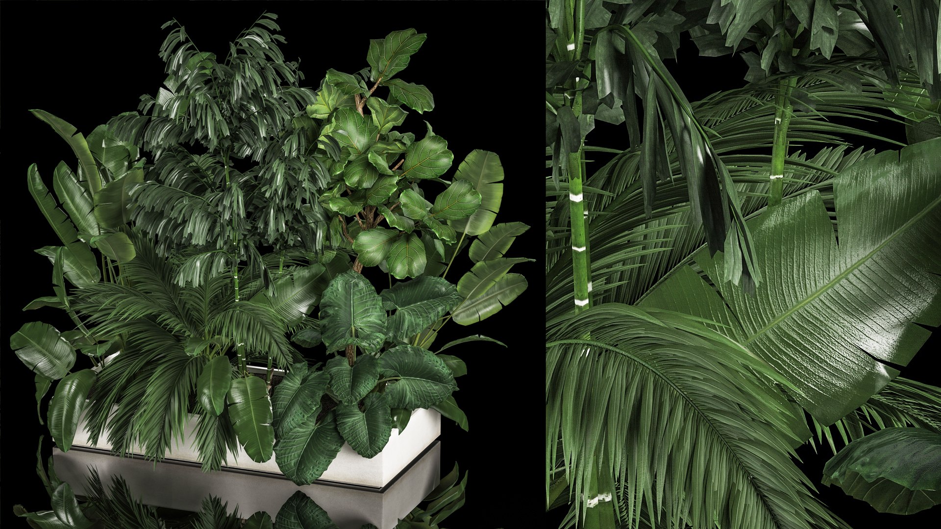 3D Flowerbed Of Plants With Tropical Thickets https://p.turbosquid.com/ts-thumb/f2/mrb8LS/GM/1tropicalthickets2805202208/jpg/1653820159/1920x1080/fit_q87/18d9f1c1a7cd229395f6434d7de44e04ff890be2/1tropicalthickets2805202208.jpg