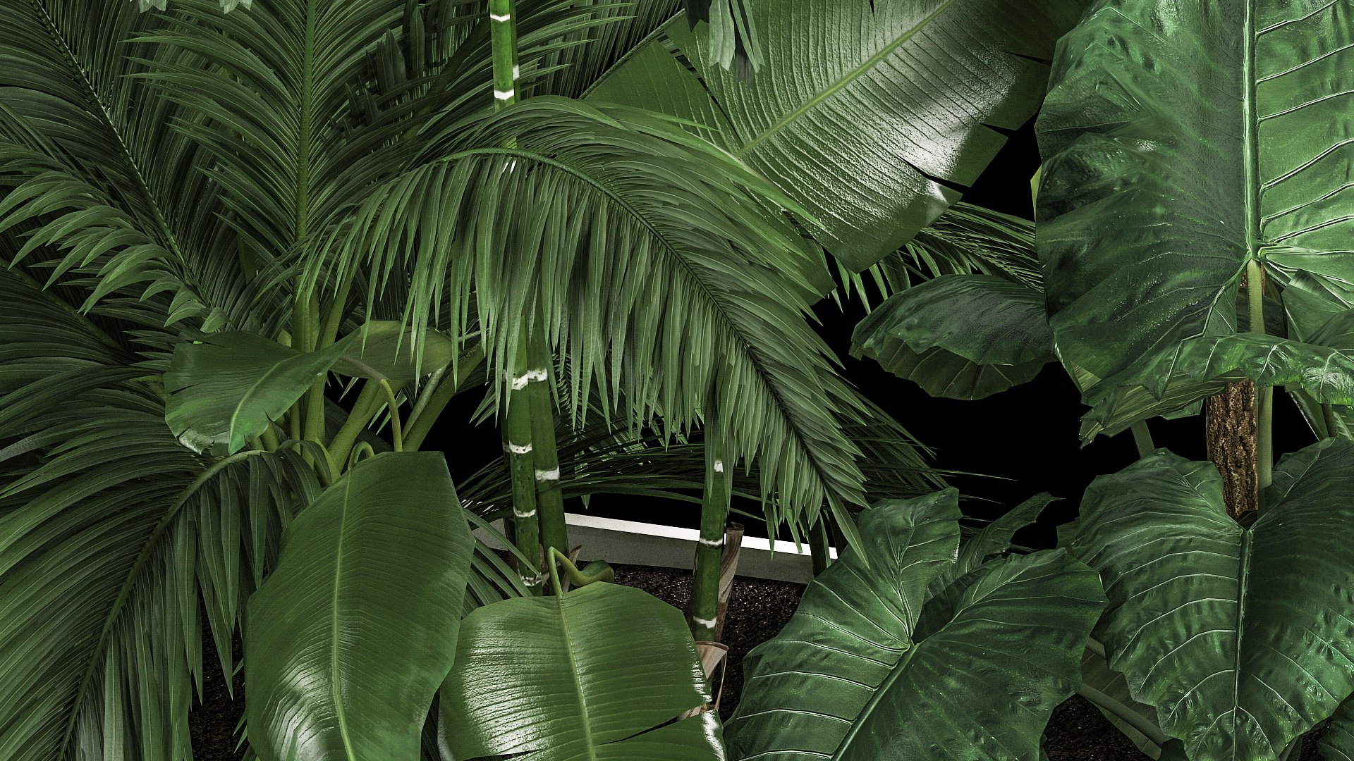 3D Flowerbed Of Plants With Tropical Thickets https://p.turbosquid.com/ts-thumb/f2/mrb8LS/Wi/1tropicalthickets2805202212/jpg/1653820162/1920x1080/fit_q87/b8ec3a414a5919328433546ae2d12f15cb4887a5/1tropicalthickets2805202212.jpg