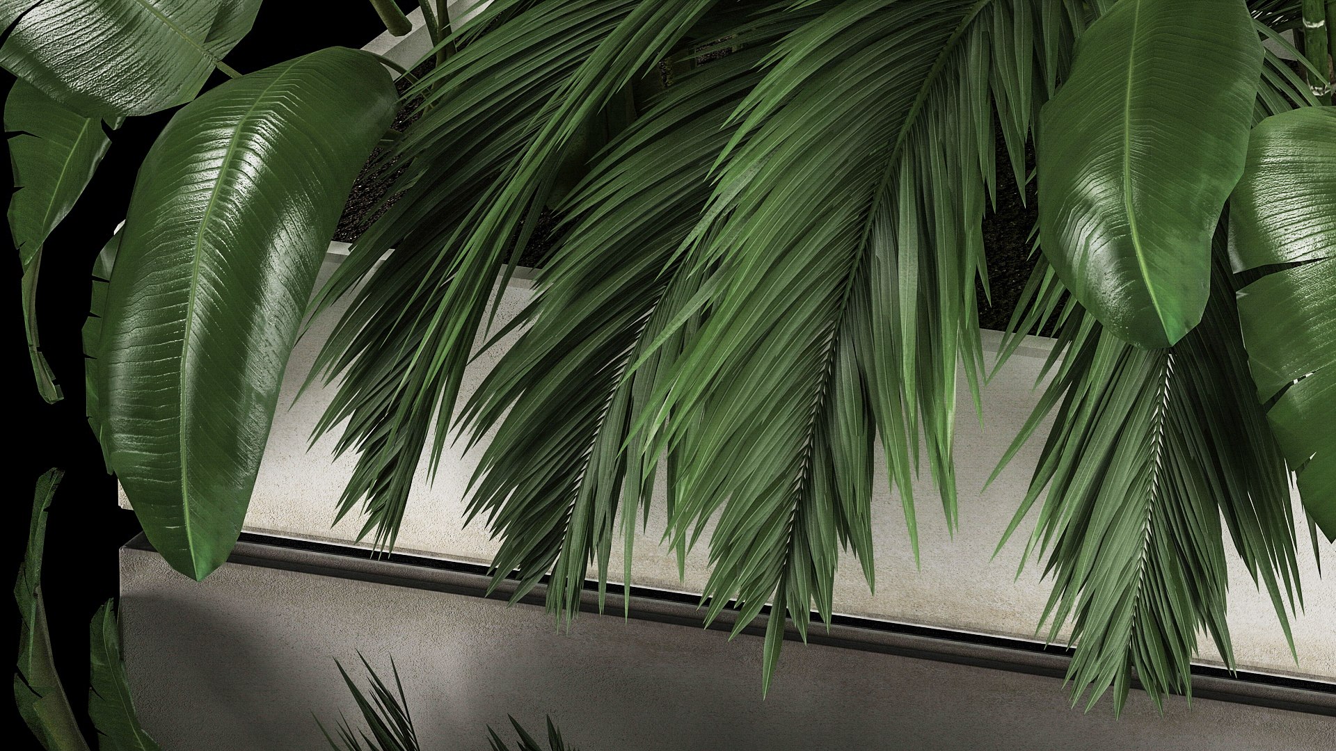 3D Flowerbed Of Plants With Tropical Thickets https://p.turbosquid.com/ts-thumb/f2/mrb8LS/zJ/1tropicalthickets2805202211/jpg/1653820160/1920x1080/fit_q87/9a5817ff079bde5d3edb4d4b32489e26d045ac65/1tropicalthickets2805202211.jpg