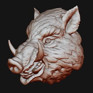 3D Boar Head 3D print