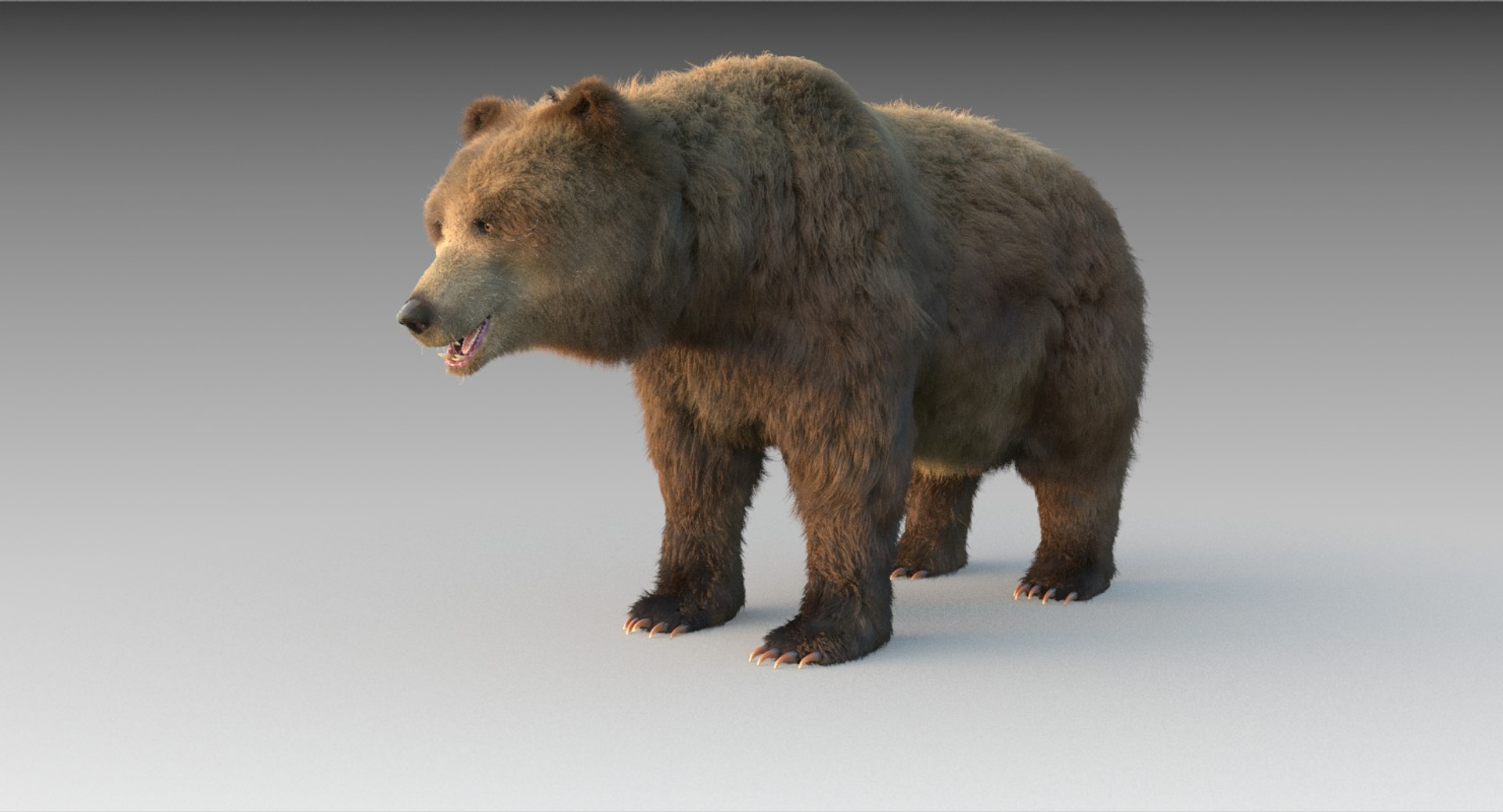 3D Grizzly Bear Fur Model - TurboSquid 1251206