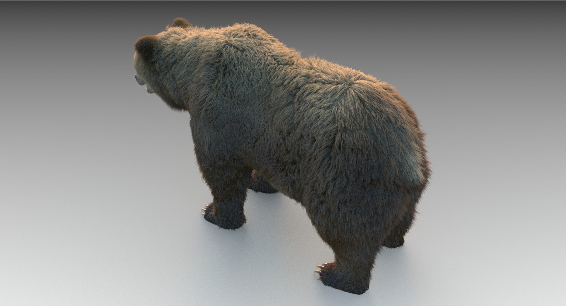 【KOOLOSET】Grizzly Bear Fur Hood Padding Glacier Wear - Bear Skins For Sale
