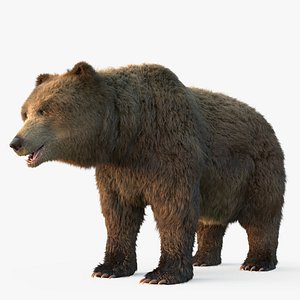 3D grizzly bear fur model