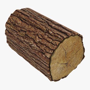 wooden log 01 3D