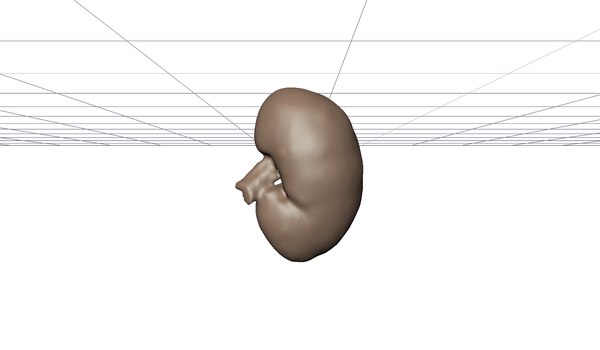 3D reconstruction real humans liver model