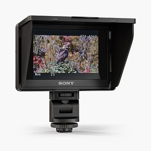 Sony CLM-V55 on-camera monitor
