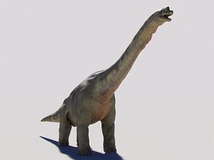 brachiosaurus dinosaur rig studio 3D model