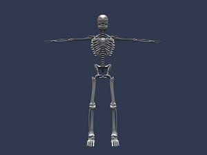 blend rigged skeleton