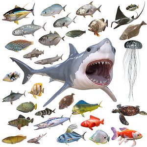 30 Sea Creature Fish Collection