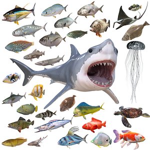 30 Sea Creature Fish Collection