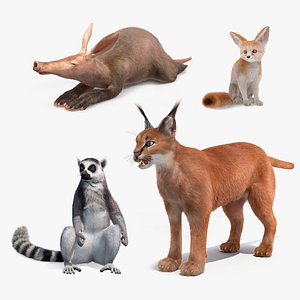 3D African Mammals Fur Collection model