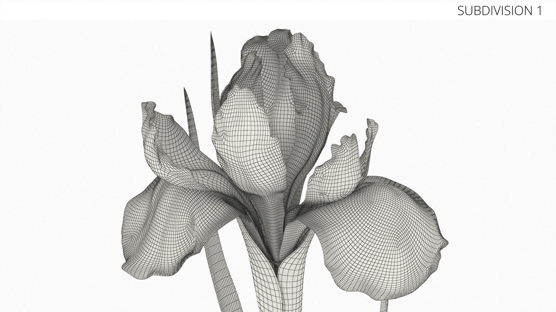 Blooming Iris White 3D model https://p.turbosquid.com/ts-thumb/f3/OvCIaY/YV/blooming_iris_white_008/jpg/1765320368/1920x1080/fit_q87/6e1bf7b4db83169f9d27432a927ee3c5ff151b55/blooming_iris_white_008.jpg