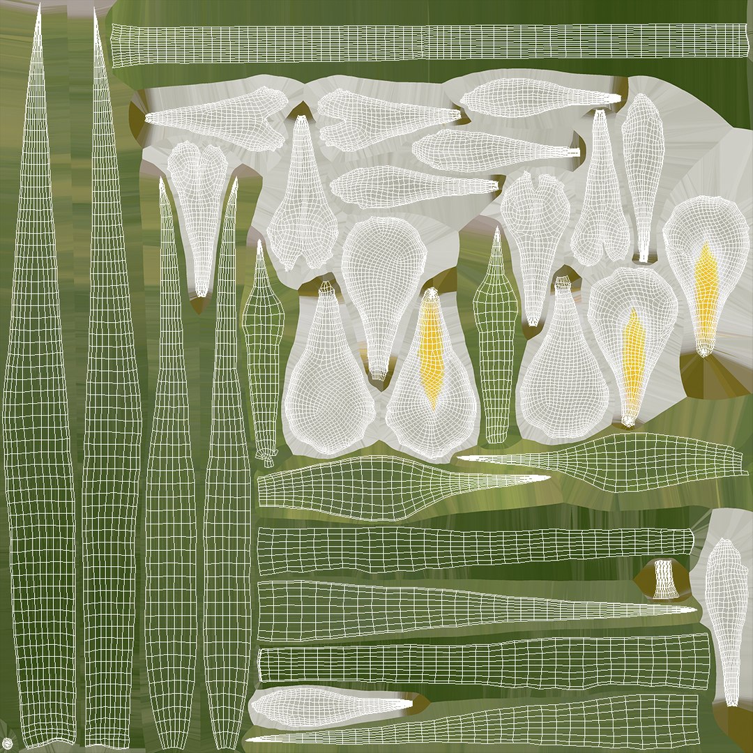 Blooming Iris White 3D model https://p.turbosquid.com/ts-thumb/f3/OvCIaY/yJ/blooming_iris_white_011/jpg/1765320377/1920x1080/fit_q87/837840c6a61b0db0404125fe4080149a18daab17/blooming_iris_white_011.jpg