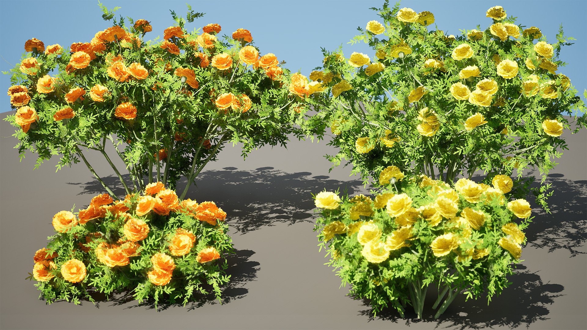 Low-Poly Marigold Deep Orange  Mary Helen model https://p.turbosquid.com/ts-thumb/f3/VGXCQk/Va/highresscreenshot00002/jpg/1708595038/1920x1080/fit_q87/1b9830aaa6b7e83f0d0ef2234e07bbb09e9f70be/highresscreenshot00002.jpg