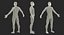 Collection truquée d'anatomie du système musculaire masculin et féminin