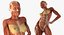Collection truquée d'anatomie du système musculaire masculin et féminin