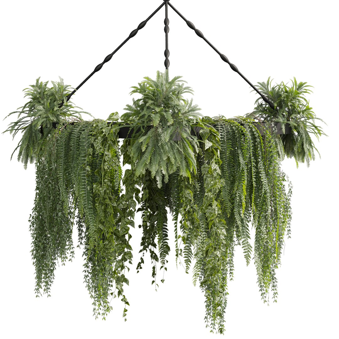 3D plant vol 926 - hanging - Pothos - Fern - Chandelier https://p.turbosquid.com/ts-thumb/f3/bCVFWm/Ae/2/jpg/1782908552/1920x1080/fit_q87/0e6283e1ef354f2b3d9abc15855711721f712368/2.jpg