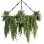 pianta vol 926 - pendente - Pothos - Felce - Lampadario