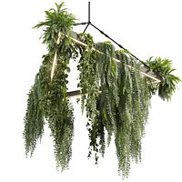 plant vol 926 - hanging - Pothos - Fern - Chandelier