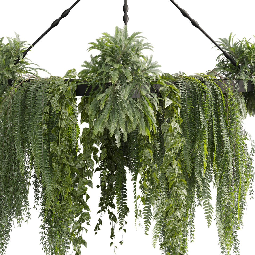 3D plant vol 926 - hanging - Pothos - Fern - Chandelier https://p.turbosquid.com/ts-thumb/f3/bCVFWm/kl/4/jpg/1782908555/1920x1080/fit_q87/5a1cec4aae67b090fcd81813c896211ebee80e69/4.jpg