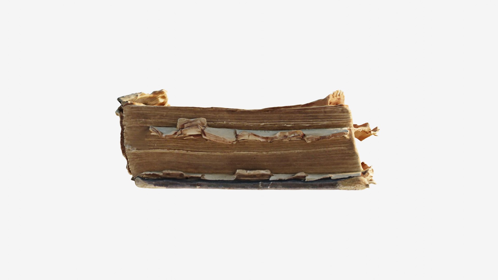 3D model Scanned old damaged book https://p.turbosquid.com/ts-thumb/f3/szBoiT/iU/view_050001/jpg/1740014603/1920x1080/fit_q87/fc40cd3a98e77cd61c68213aaf0a27ecec202b04/view_050001.jpg