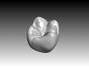 3ds max molar maxilar crown