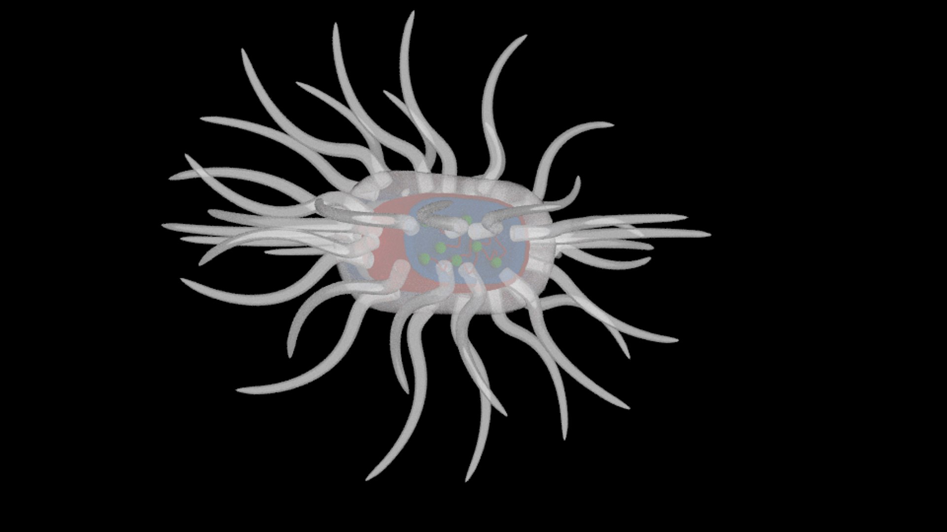 3d model micro parasite https://p.turbosquid.com/ts-thumb/f4/Iycnfn/GxQwliJR/gmrtrd/png/1455554494/1920x1080/fit_q87/845b2abbc945ac62ad724781f34d018681ce394f/gmrtrd.jpg